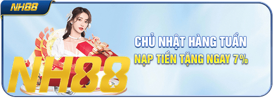 NH88