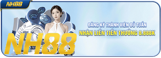 NH88